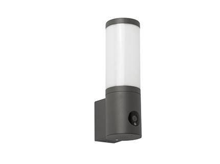 Orwel Outdoor LED Wall Light Camera Dimmable Dark Grey 9W 30006000K IP54
